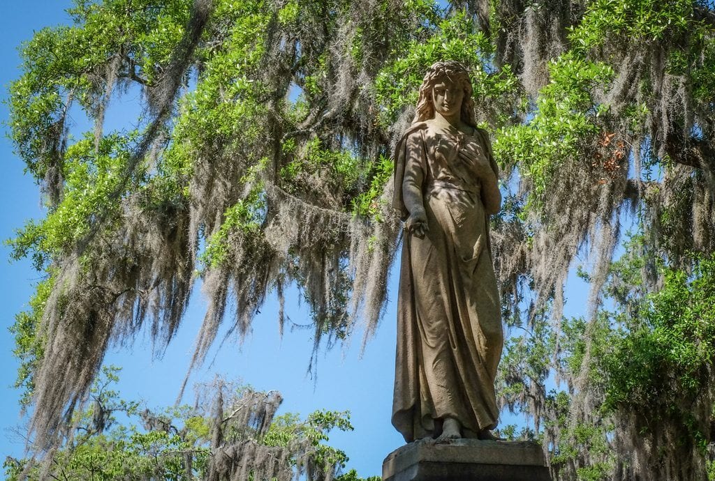 An angel statue with the backdrop of Spanish moss and a blue sky in Bonaventure Cemetery, Savannah.