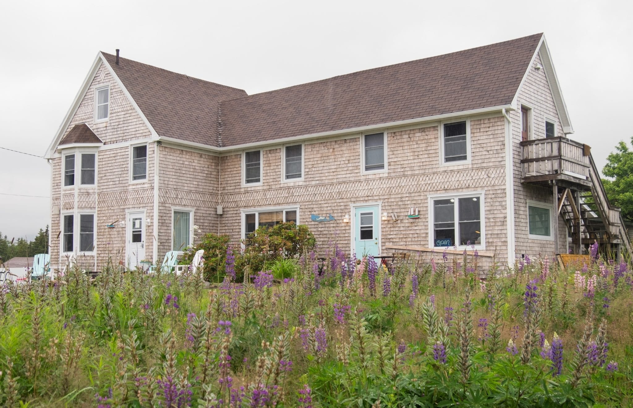 A Scottish-looking gray house in front of purple flowers in Cape Breton.