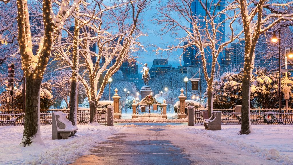 Boston in the winter: the public garden with snow on the ground. A shoveled path is surrounded by trees covered with sparkling lights.
