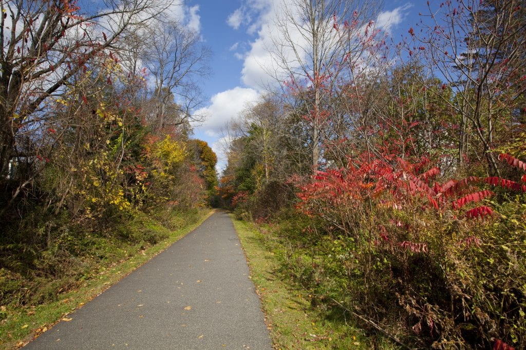 A smooth paved trail, lush vegetation in fall colors on each side.