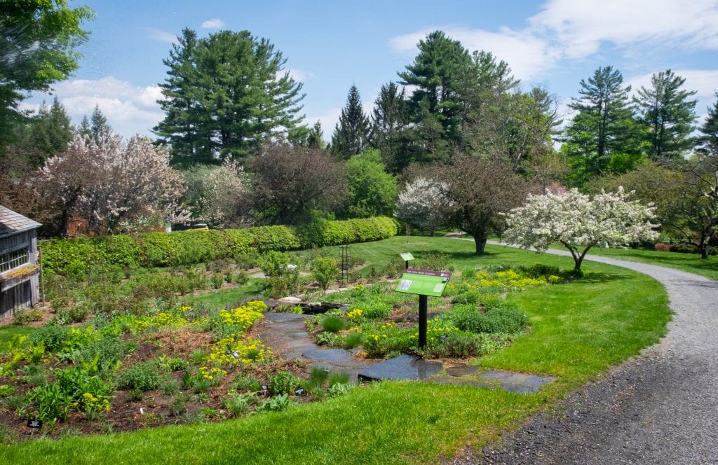 The well-manicured grounds of the Berkshire Botanical Garden, including rocky pathways through gardens of short flowers, and several trees blooming with white flowers.