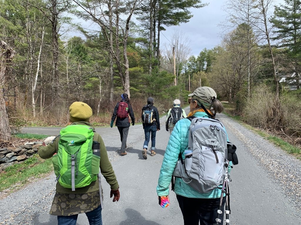 Five people in jackets and backpacks walking along a paved path through the woods in the Berkshires.