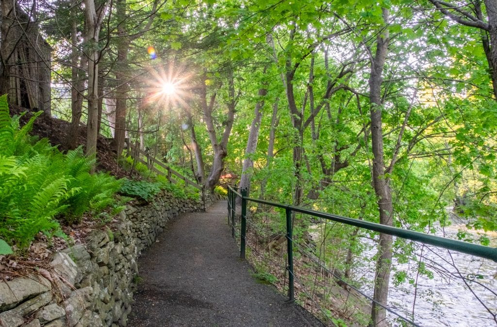 A gravel path along the river and through the woods in Great Barrington. The sun pokes through the trees like a sunburst.