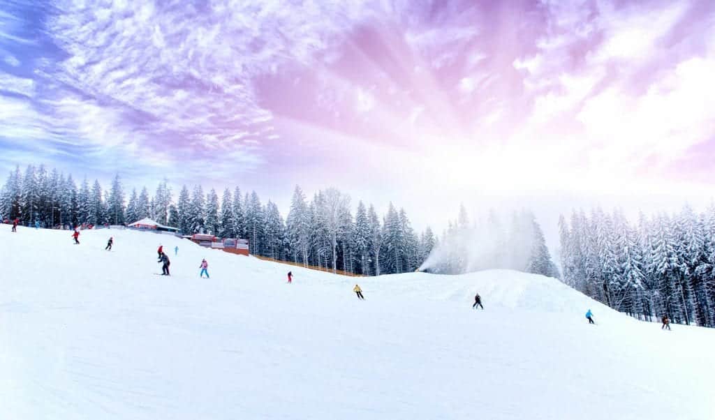 Several skiers skiing down a forested mountain, a purple sky behind them.