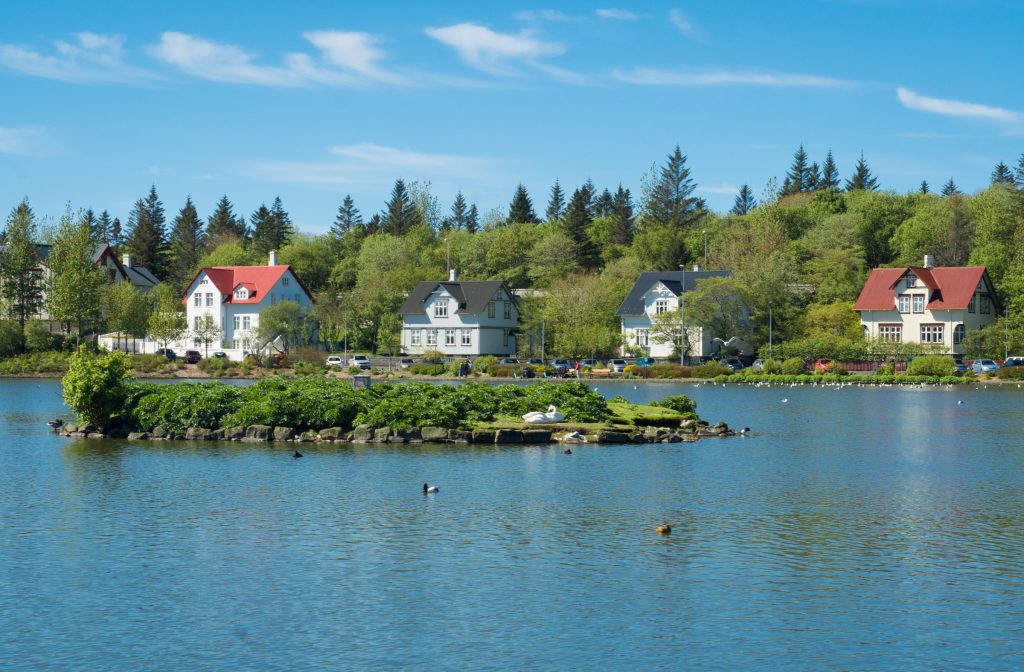 Four oversized cottages with red and black roofs in front of a lake. On the lake is an island where a white swan and several ducks are hanging out.