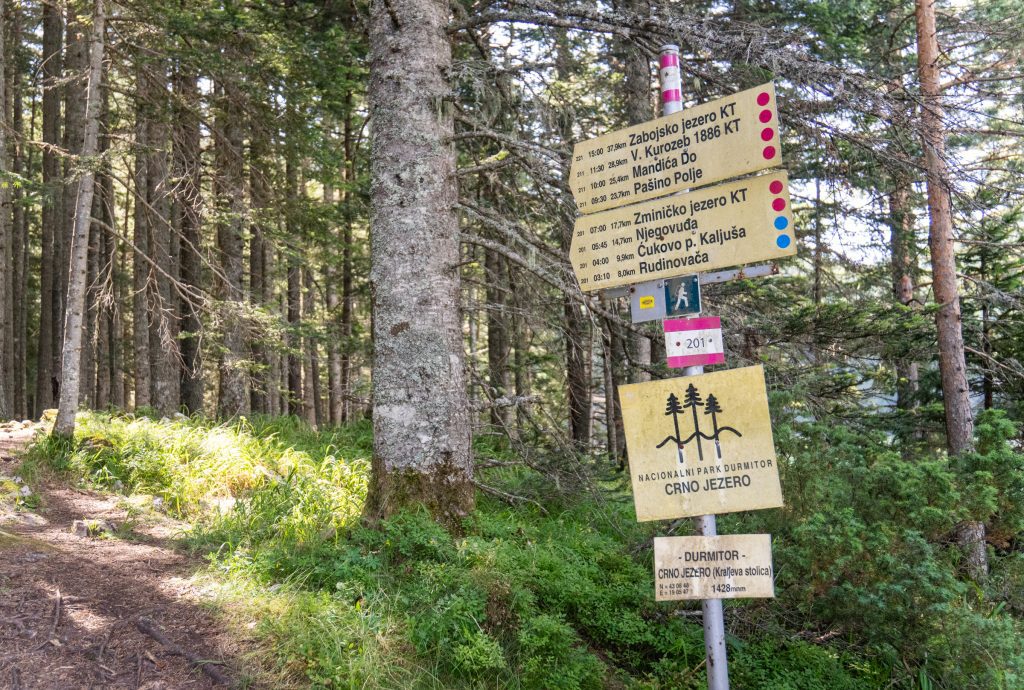 A sign pointing out different hiking trails in the middle of the forest.