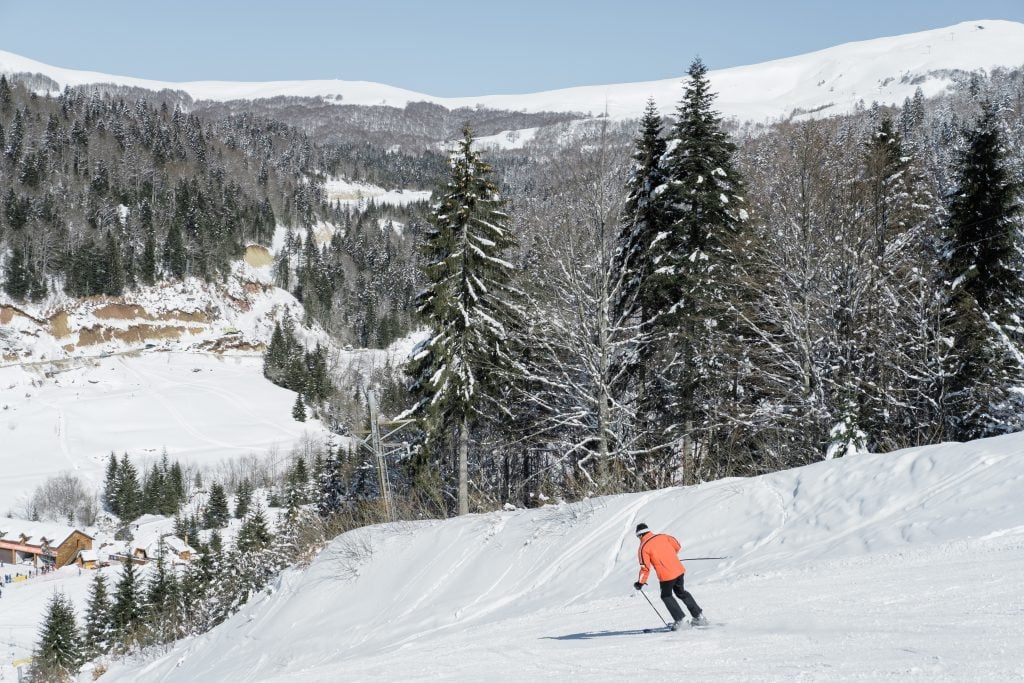 A person in an orange jacket skiing down a snowy, forested hill.